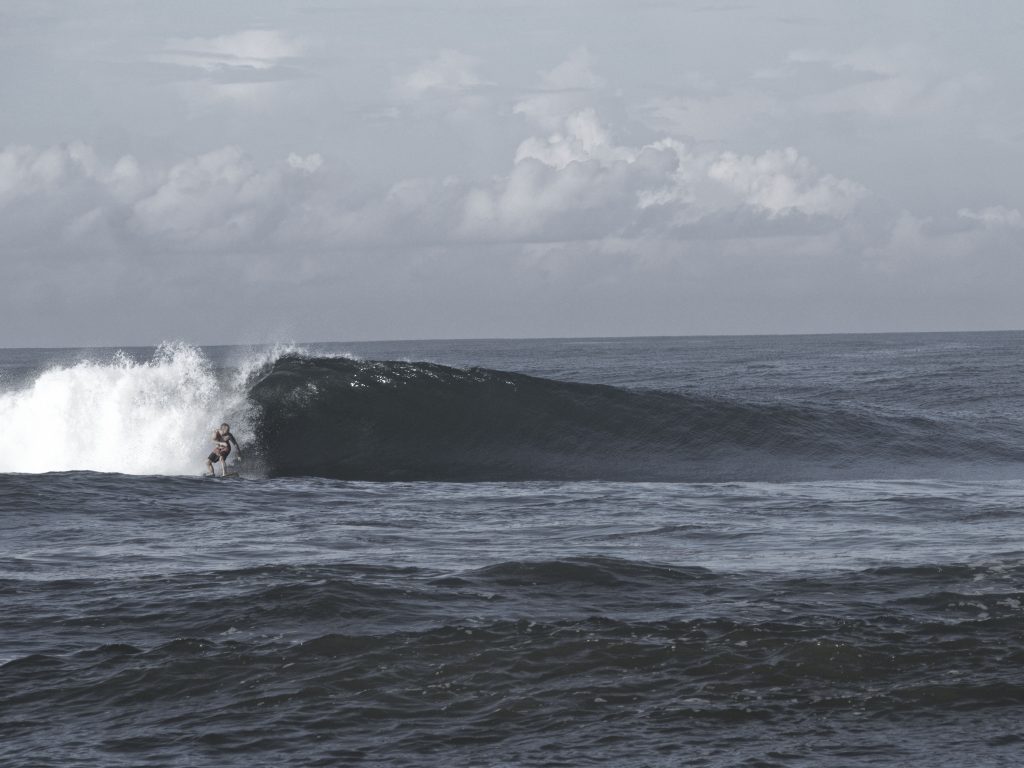surfpagegrey 1024x768 - Home