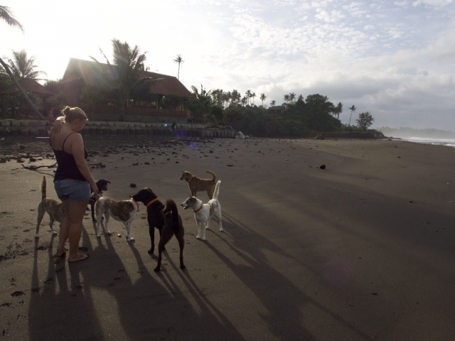 P5270071 1024x768 640x480 - Good bye Bali